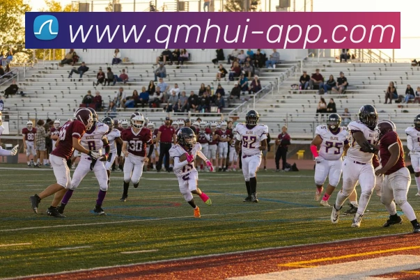 多媒体互动体验